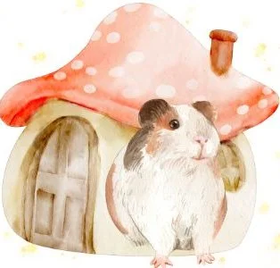 Guinea Pig.jpg