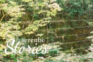 A Biophilic Movement 