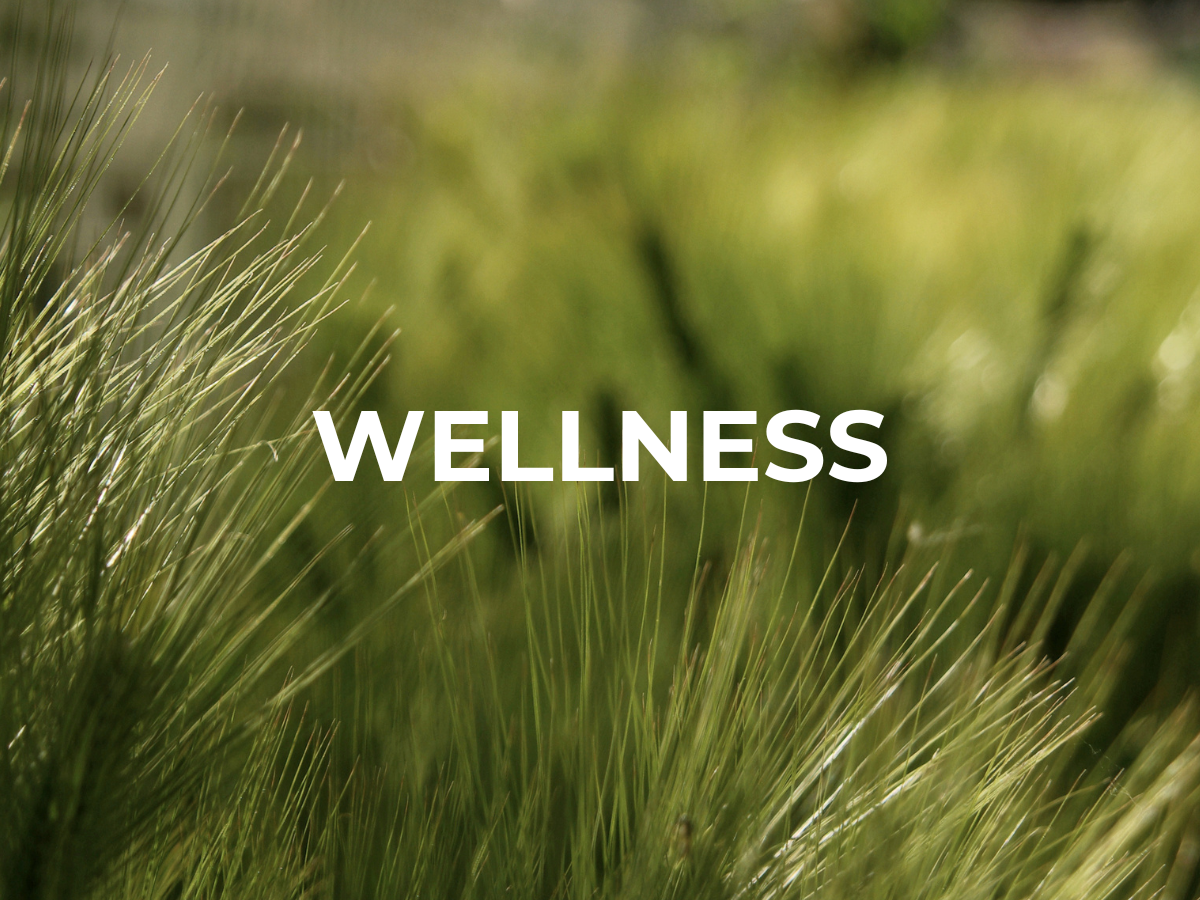 Biophilia &amp; Emotion