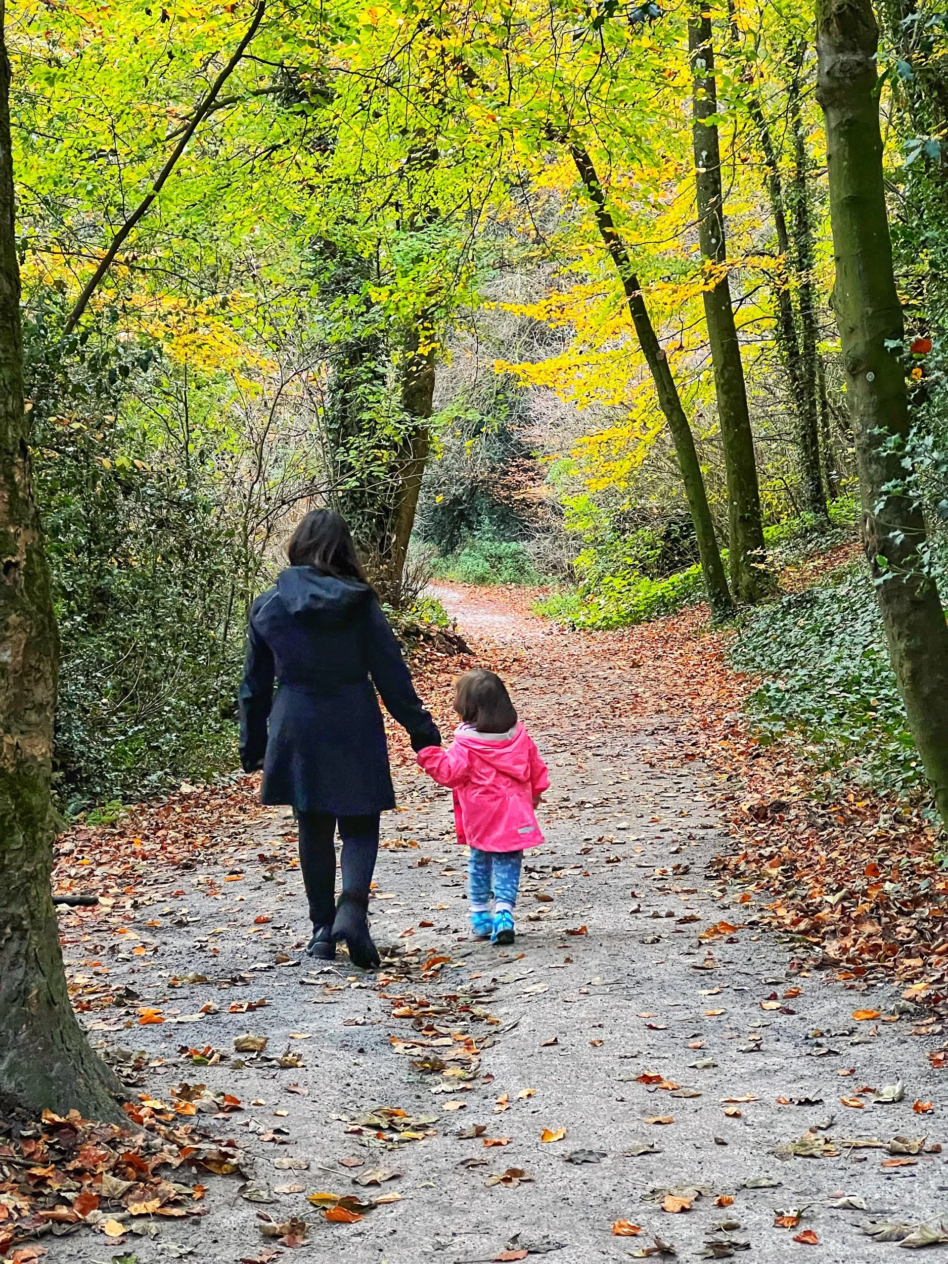 Ireland (2022) - Coconuts in Kilkenny