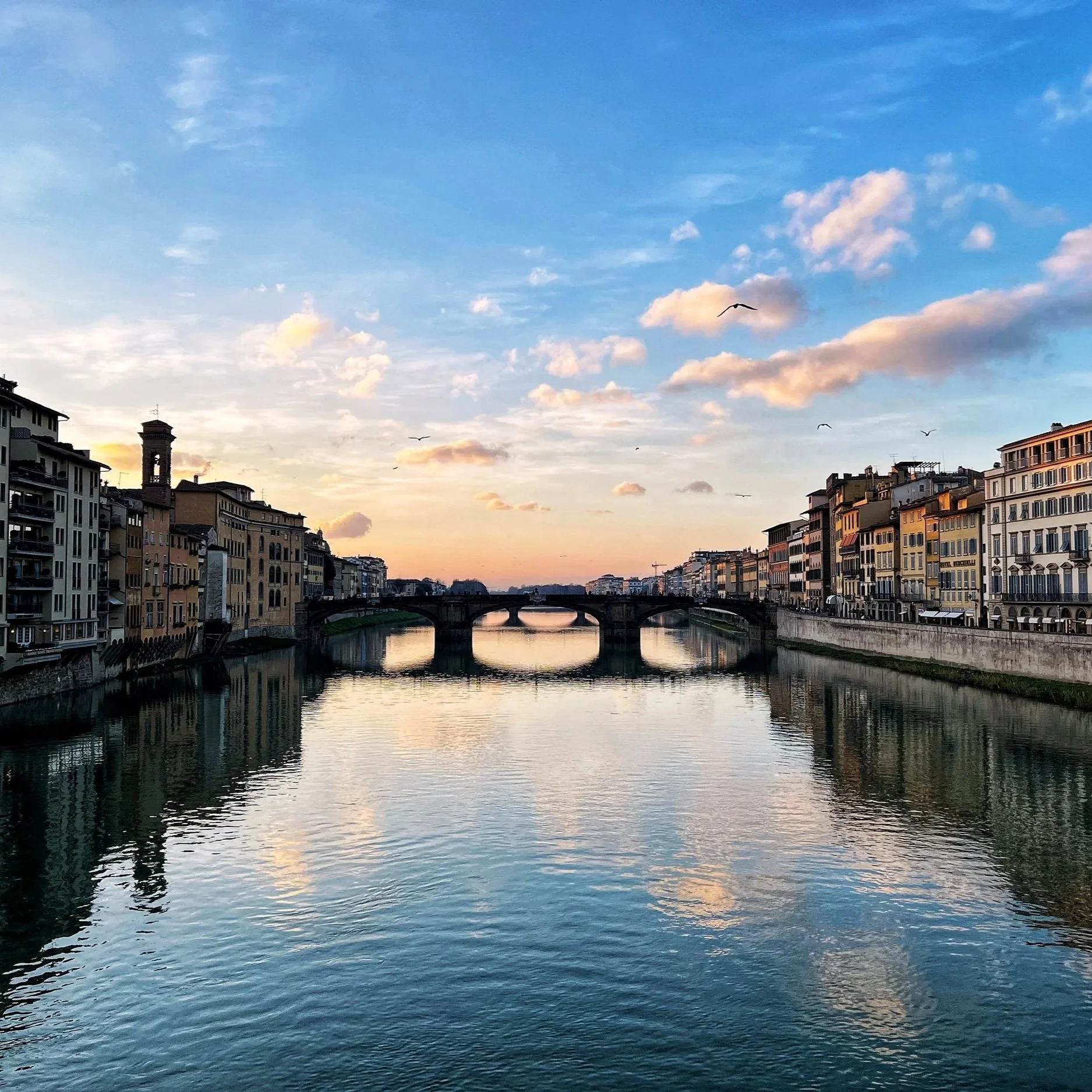 Italy (2026) - Piacere