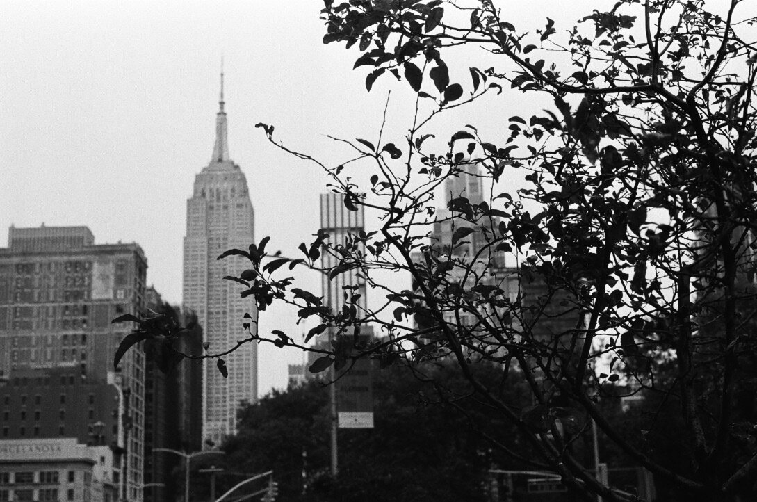 35mm Film, Non-edited, New York, NY, September 2020.