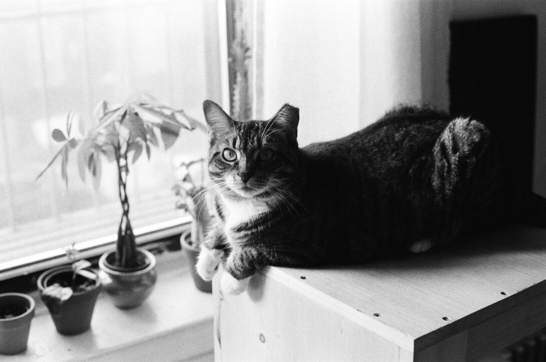 35mm Film, Non-edited, Brooklyn, NY, October 2020.
