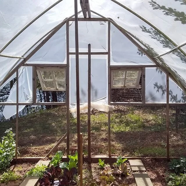 Greenhouse + Bread .
.
#greenhouse #garden #bread  #baking #farming #gardening #homemadebread
