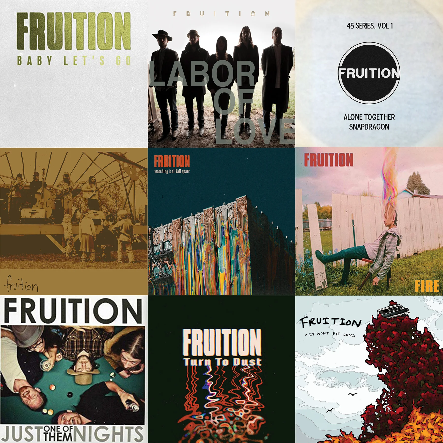 FRUITION_albums_collage2.jpg