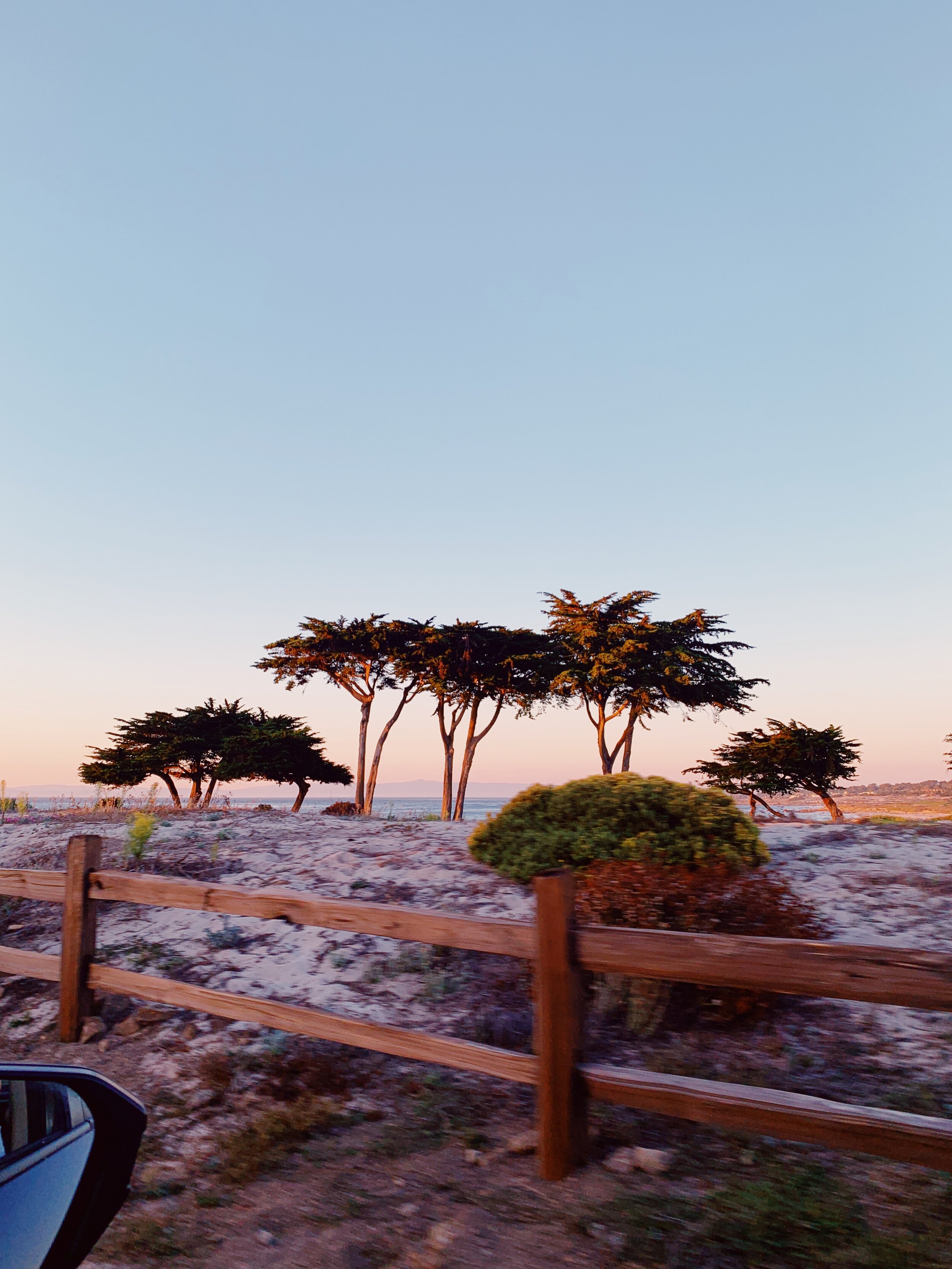C2B83865-B1F0-421D-B512-E76C5589D518.JPG