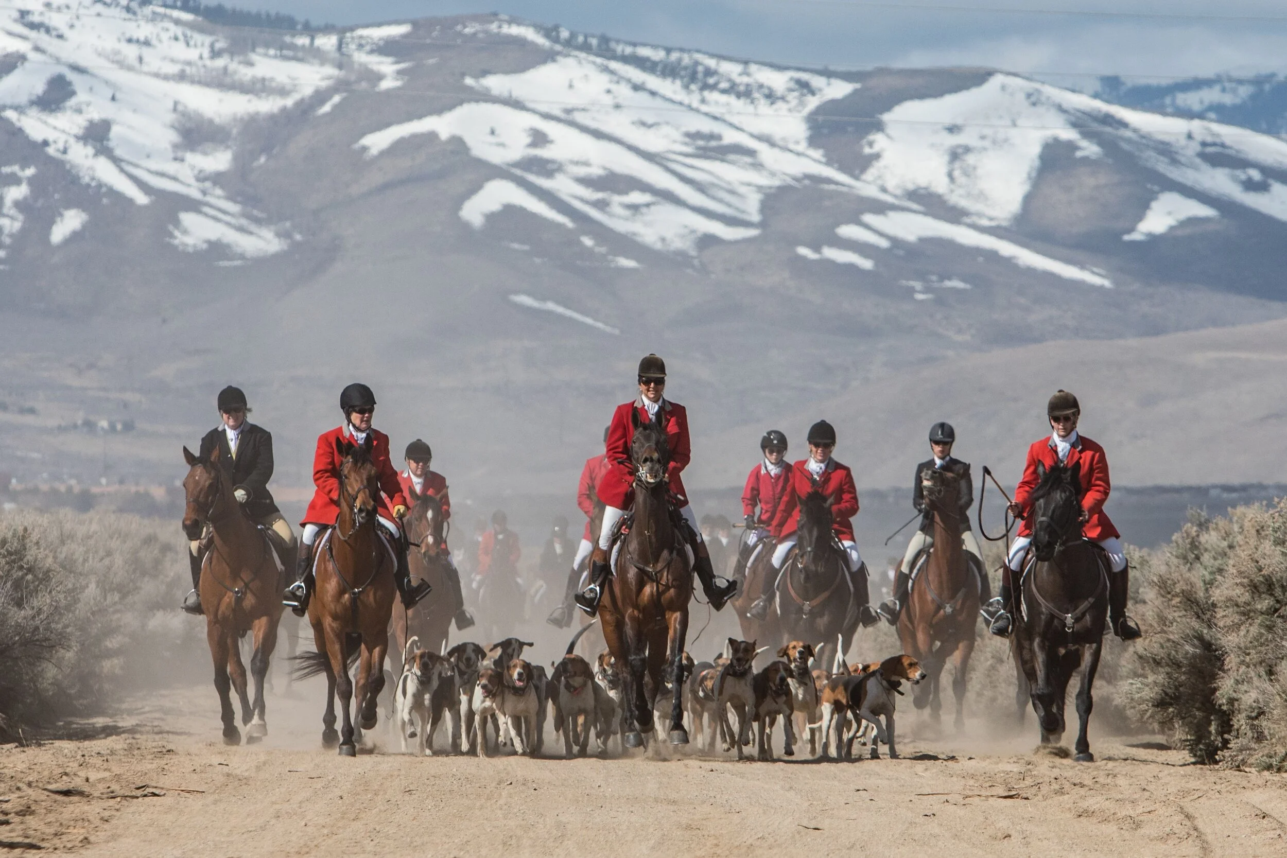 "All on" - Photographic Fine Art Print or Fine Art Canvas