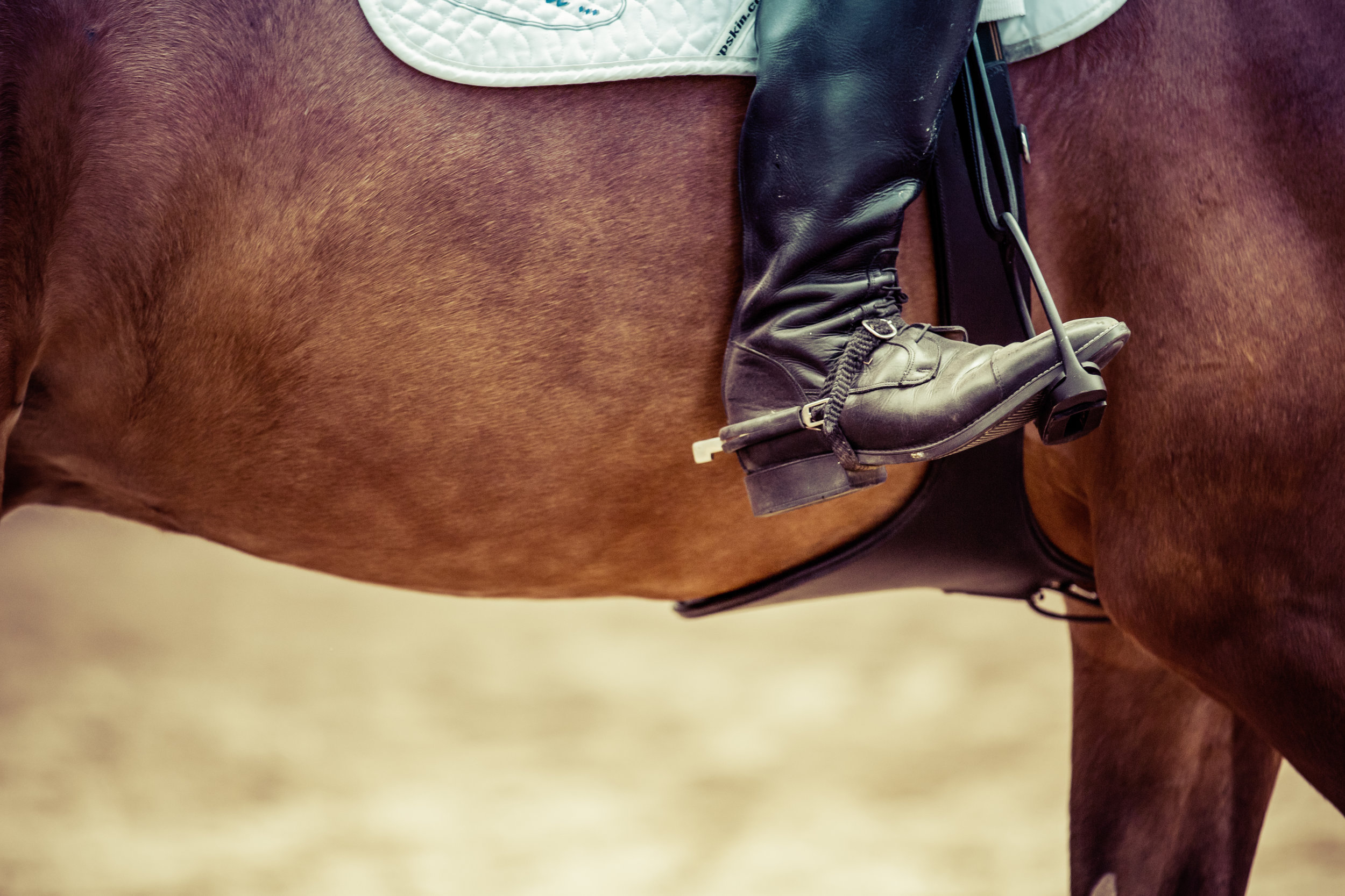 Evening Adult Lessons - August 26