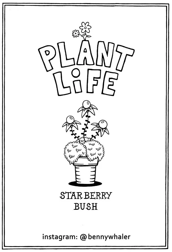 late_bloomer_all_pages_0002_003_title_page.jpg