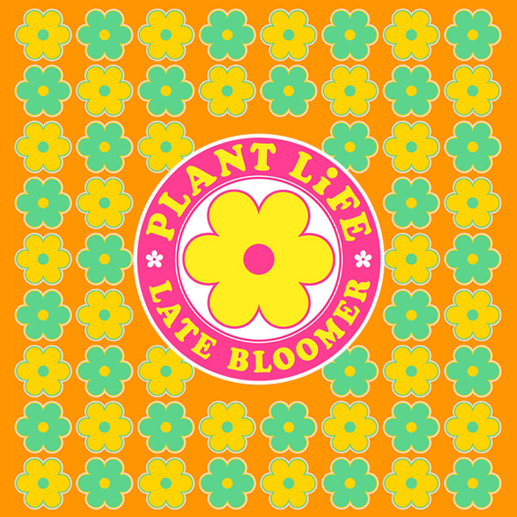 latebloomer_flower_pattern_v3_750w copy.jpg