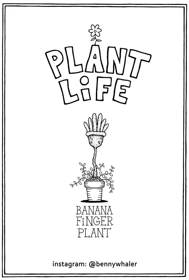 lefleur_allpages__0002_3a_done.jpg