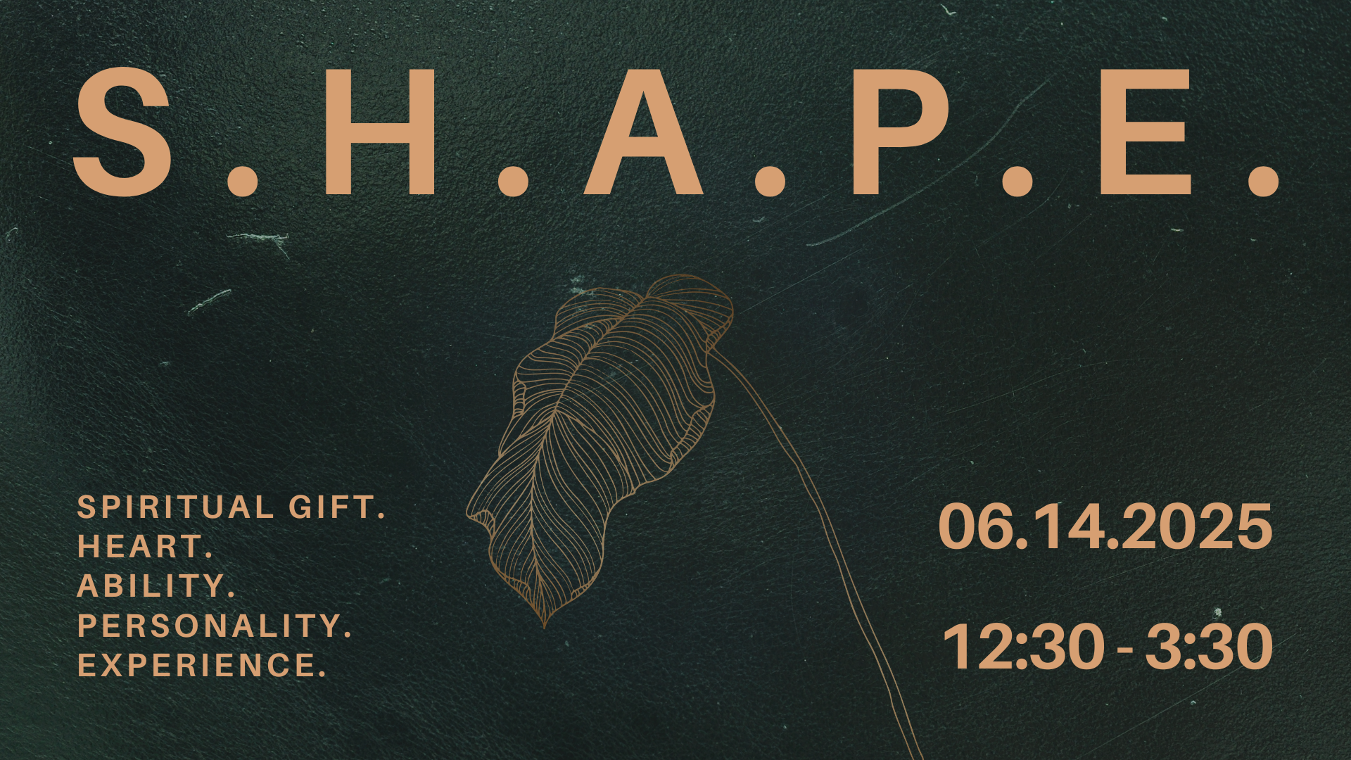 s.h.a.p.e. (1).png
