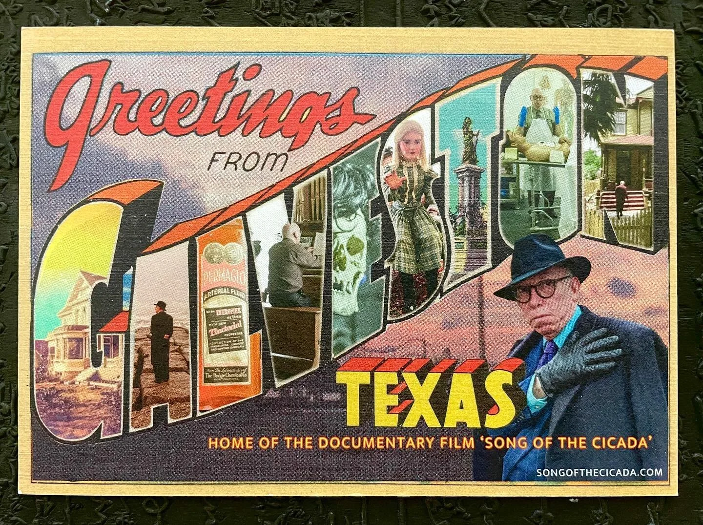 Screening this Saturday at 12:30 PM‼️ @lonestarfilmfest TICKETS can be purchased through the link to Lone Star Film Festival on our website.  Link in bio! 
Huge thank you to Galveston playing such a big roll in the documenting of this film!
#galves
