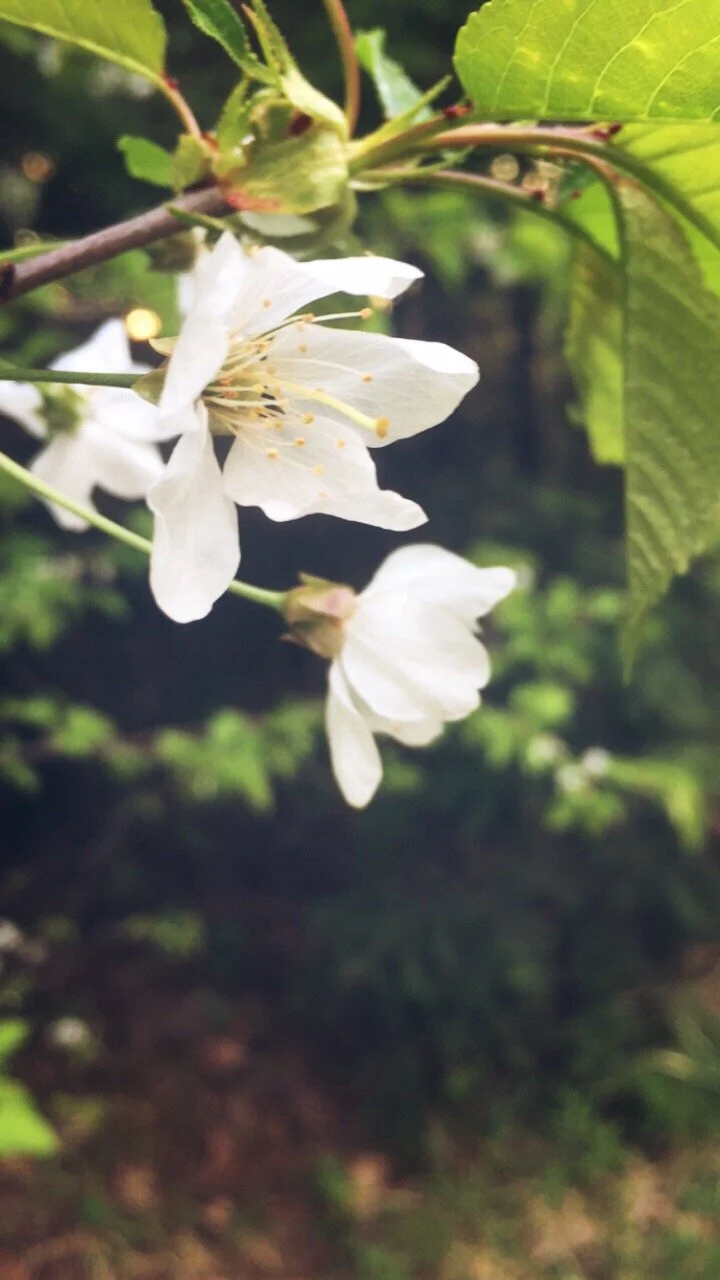 RoadRunner Review: Showing Up for our Community