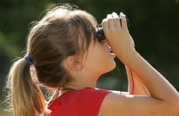 Looking Past &amp; Looking Ahead