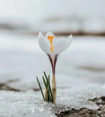 Awake &amp; Welcoming the Sunshine