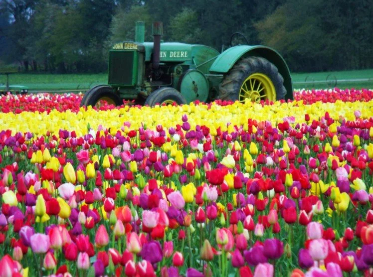 God’s Beautiful Spring Colors