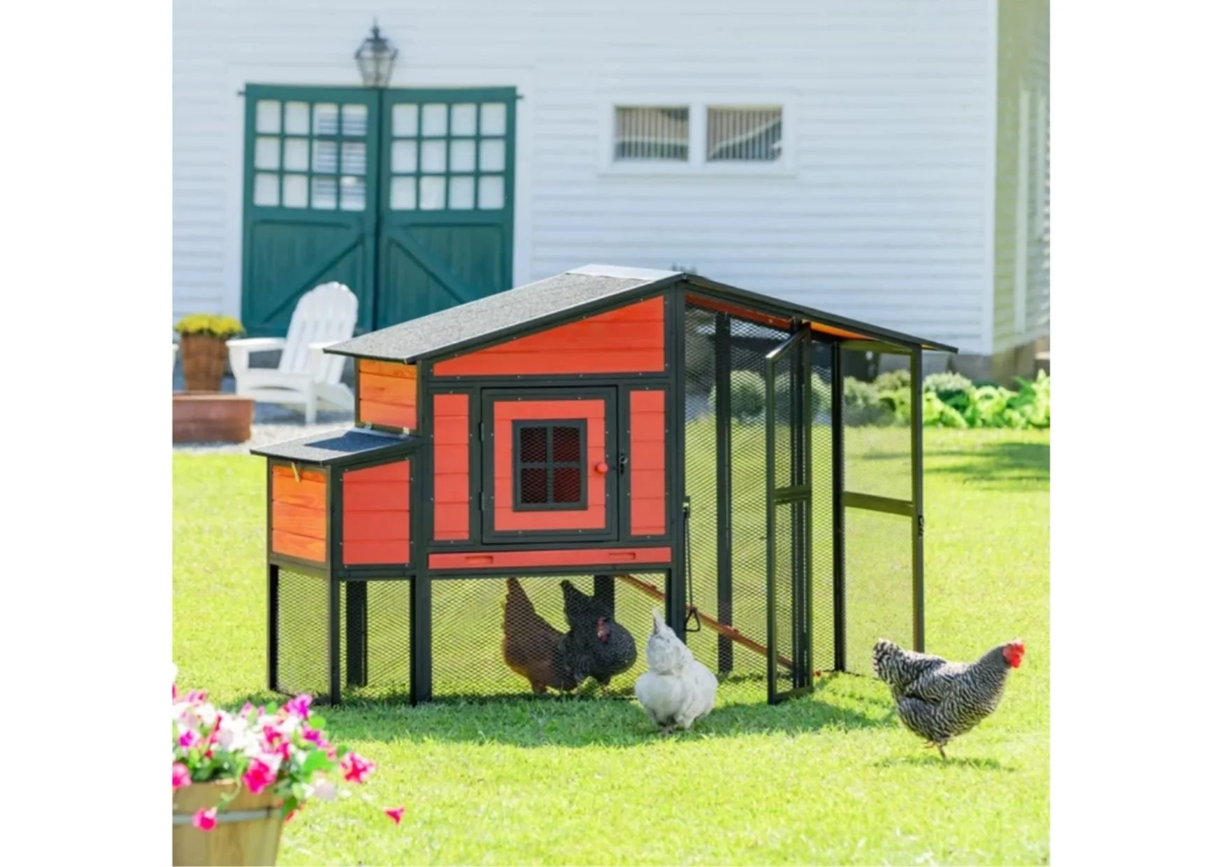 Metal Chicken Coop