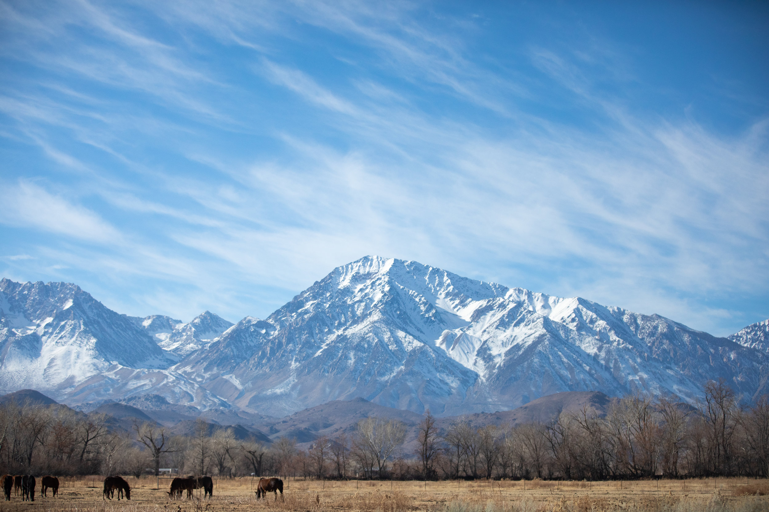 “Find ecstasy in life; the mere sense of living is joy enough.” - Emily Dickinson Bishop California
