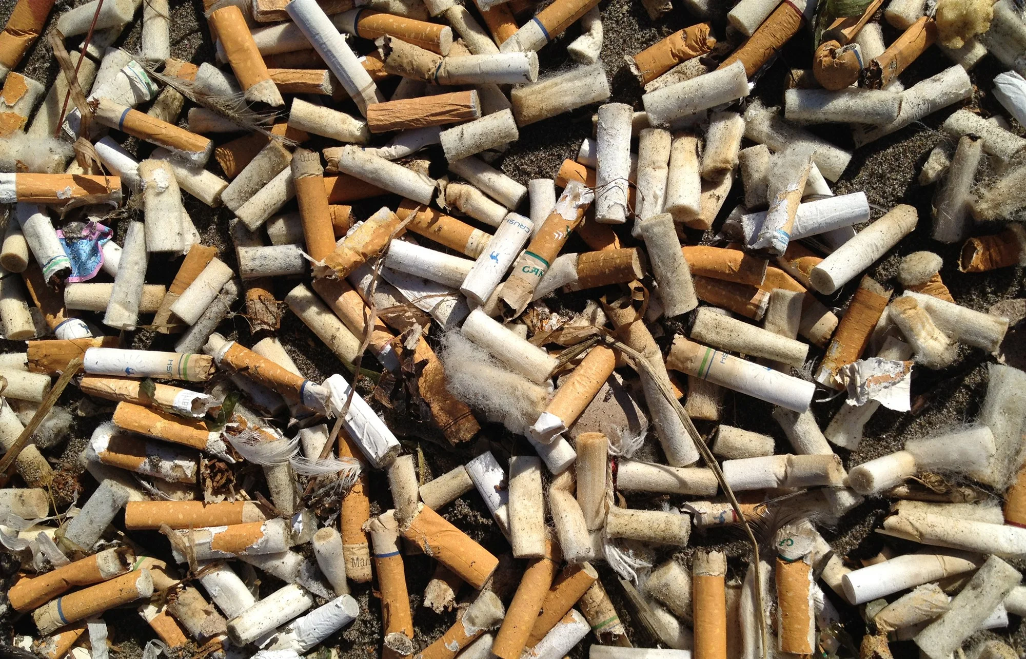 180824-oregon-cigarette-cleanup-al-1646_c1ffc2ed87fd0f3222c4f11621d4da7b.fit-2000w.jpg