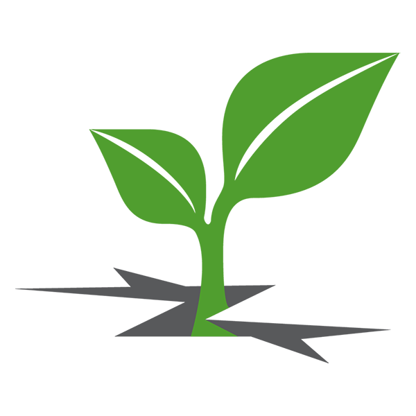 just+sprout+500.png