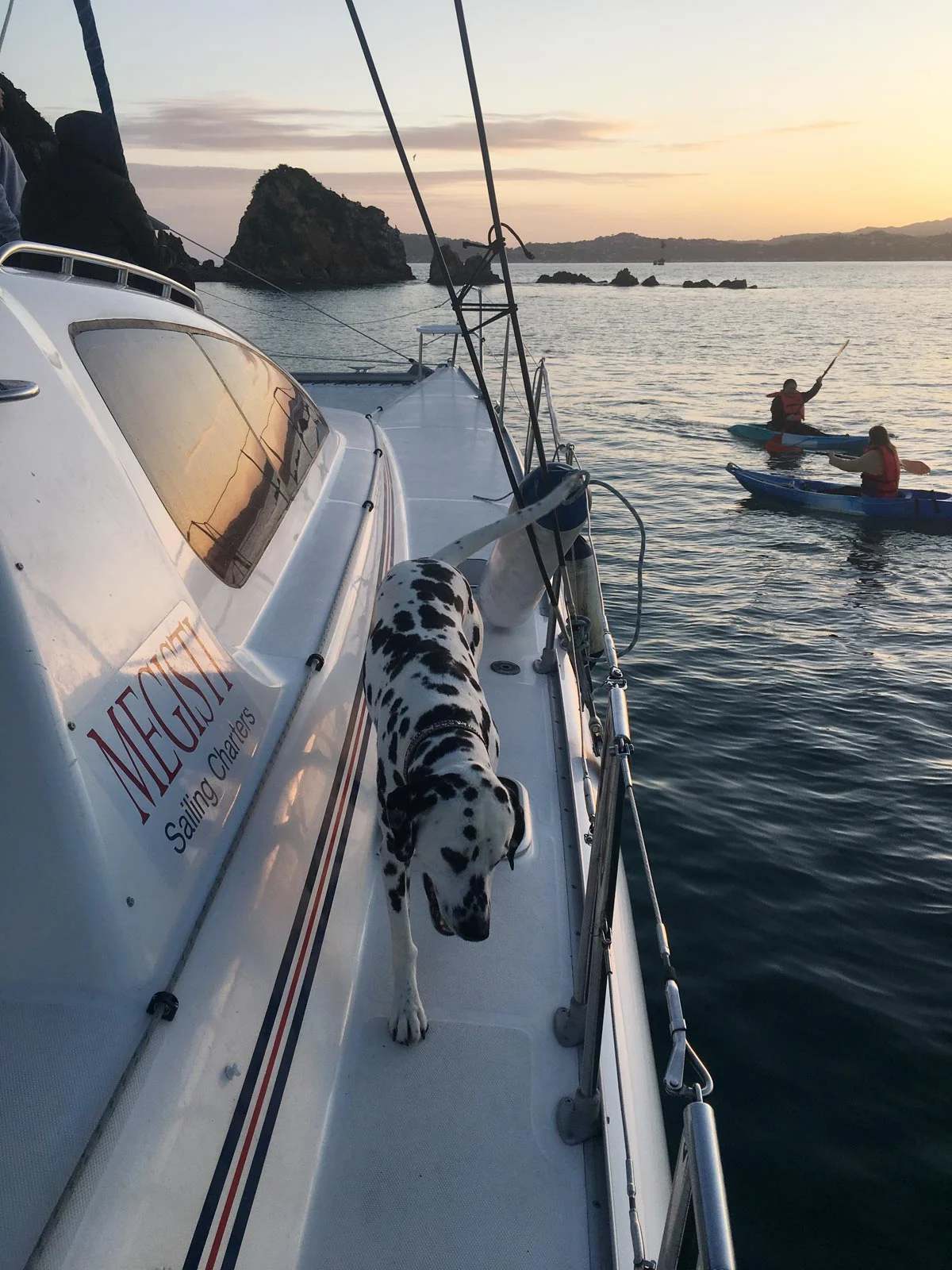 Sailing Yacht Charter Wellington Catamaran Charter Megisti — Megisti Sailing Charters