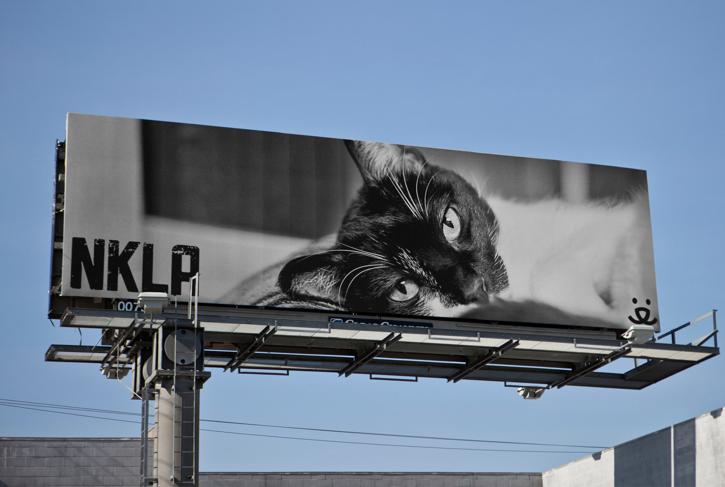 Outdoor Lions_Billboards_Digital_NKLA_Sleepy_insitu.jpg