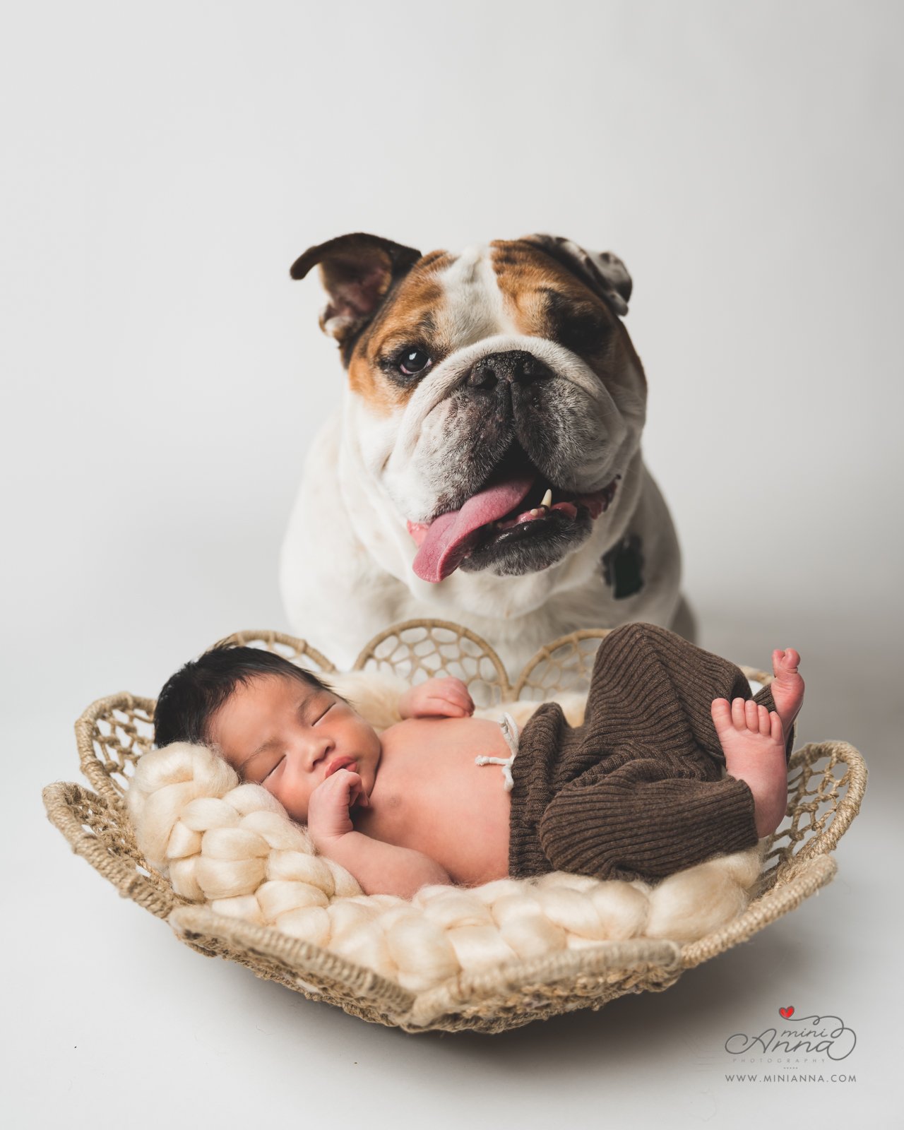 newborn with dog portrait