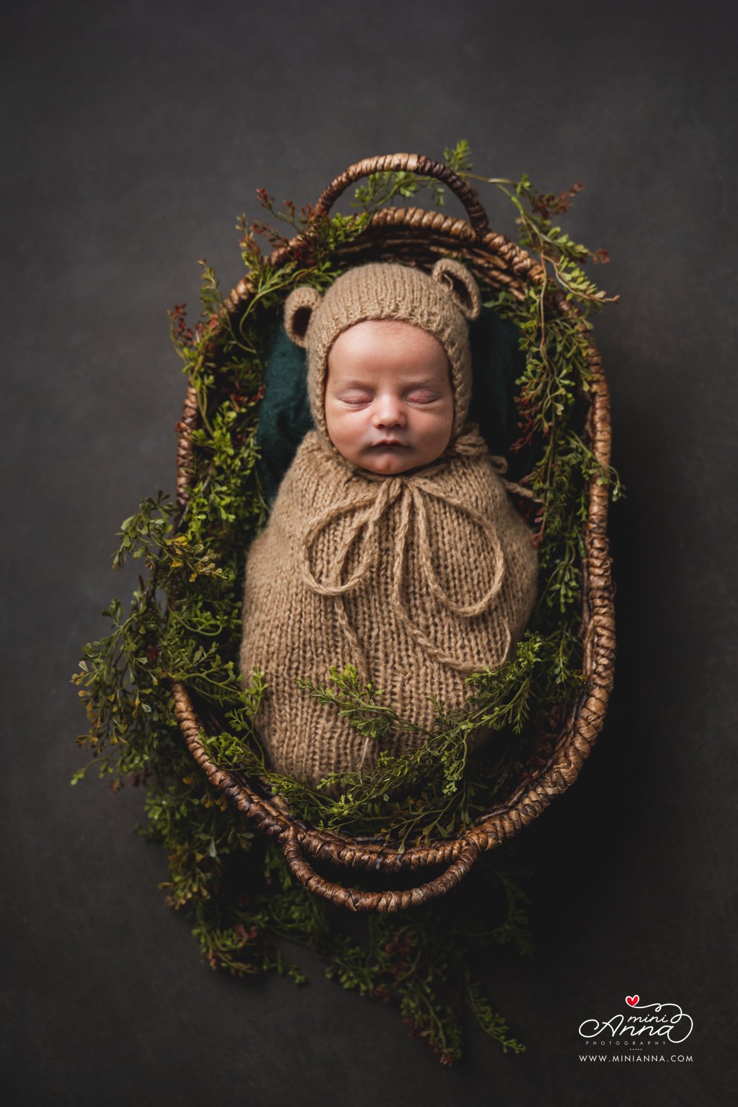 animal themed newborn portrait