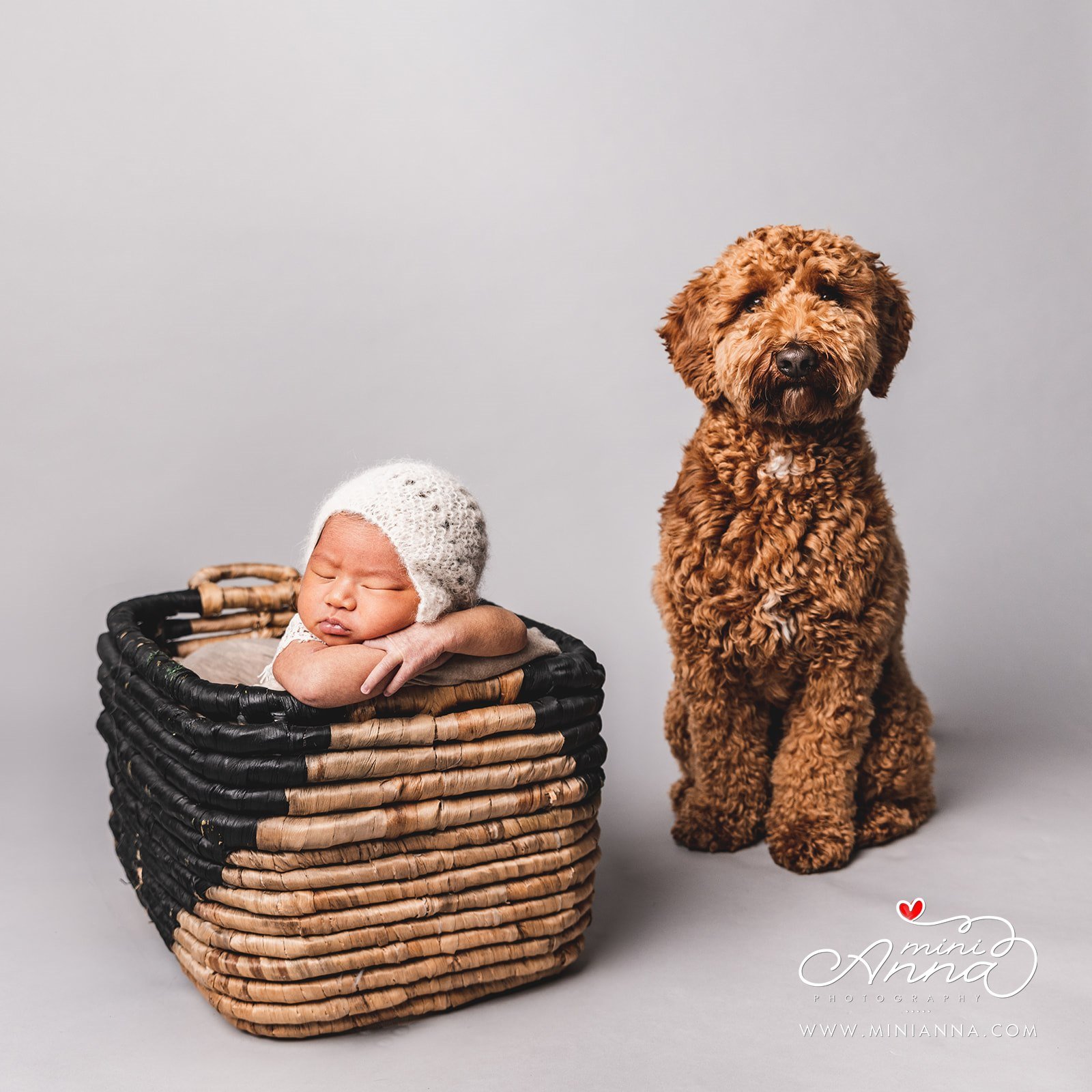 newborn portrait with dog