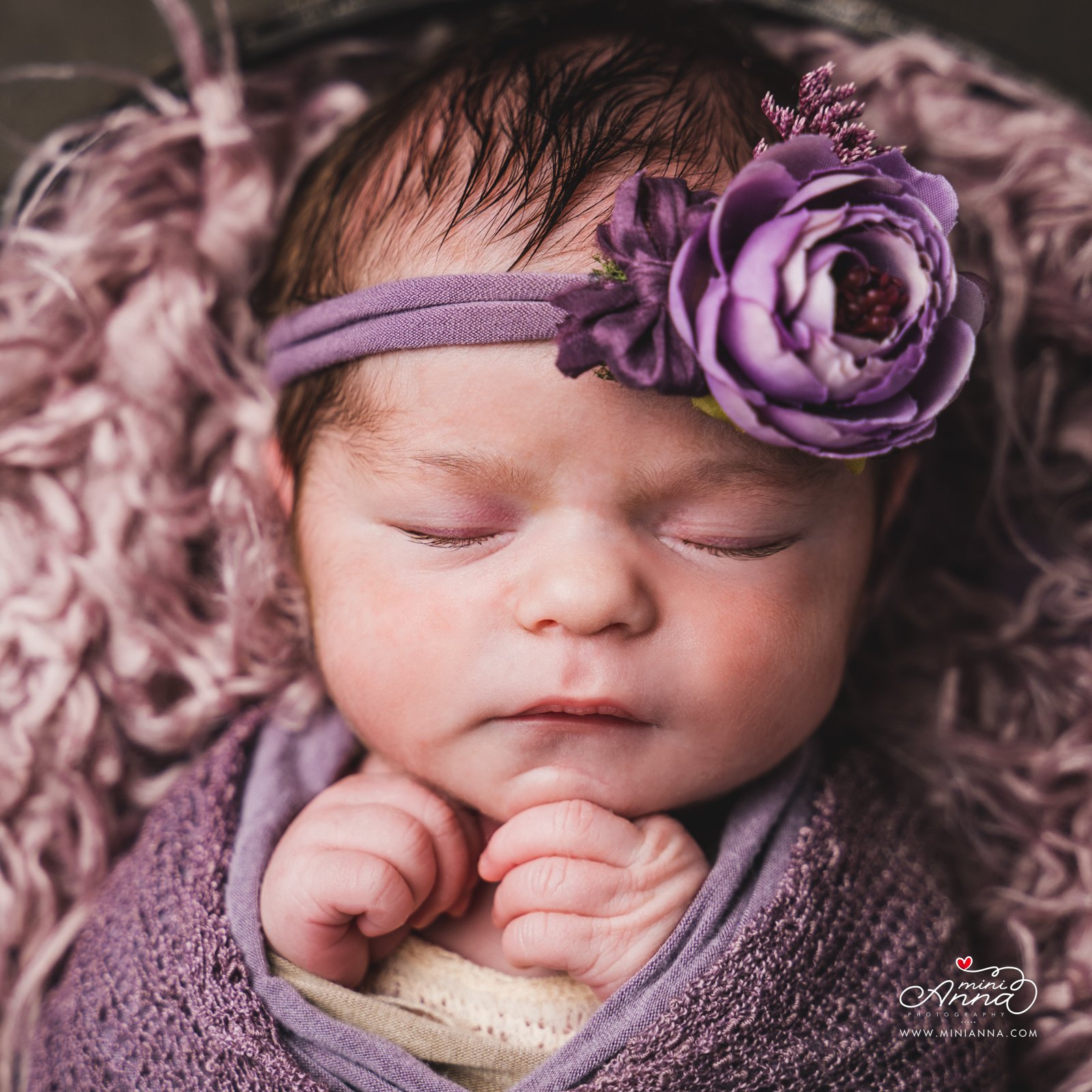 newborn portrait in studio