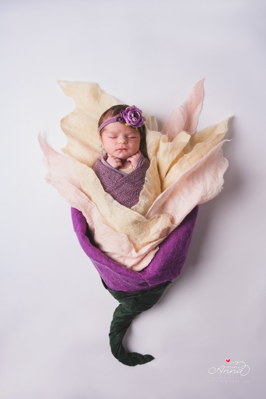 flower themed newborn portrait