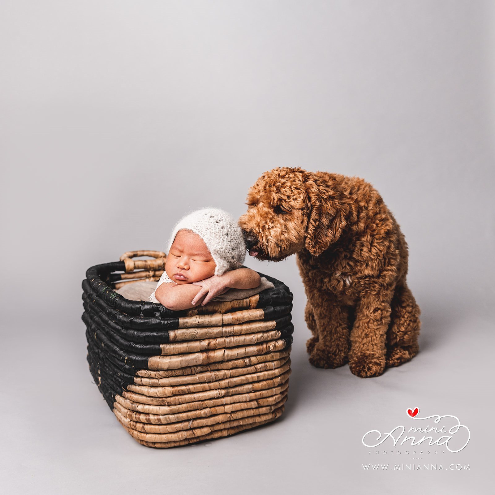 dog kisses baby portrait