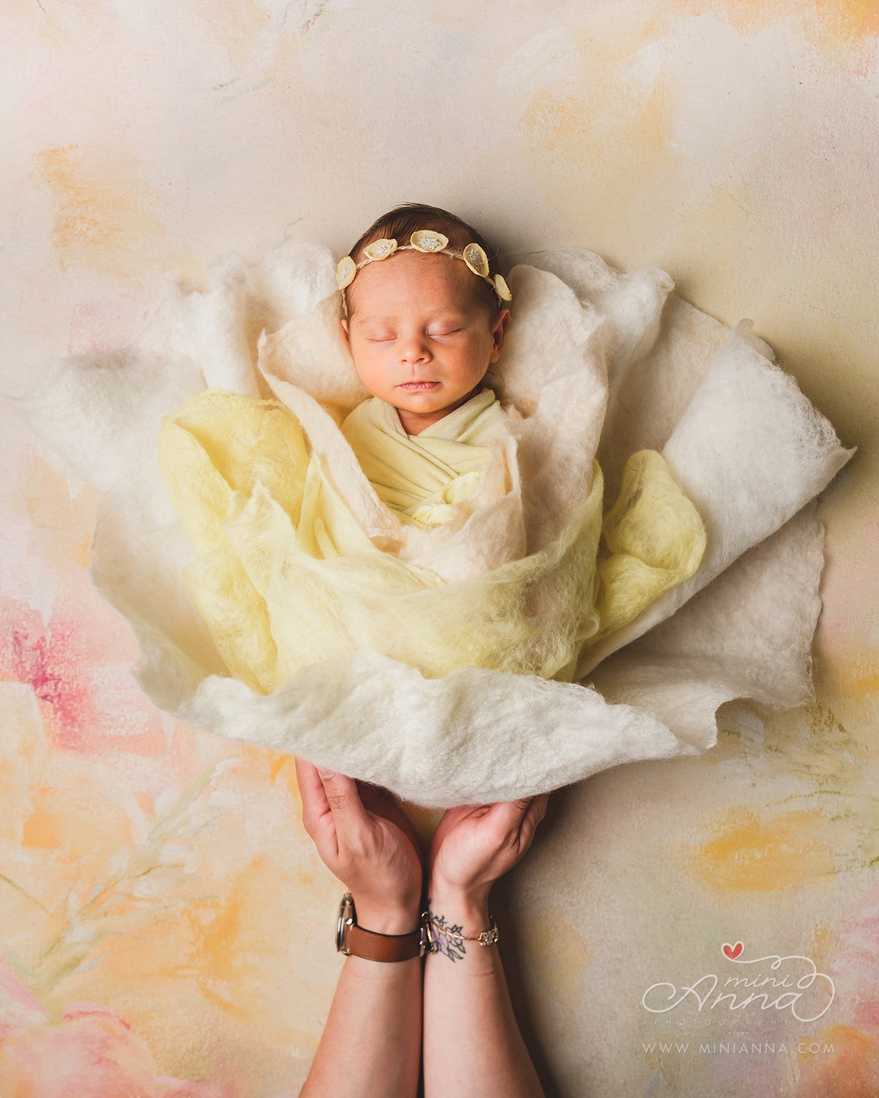 flower themed baby portrait in studio