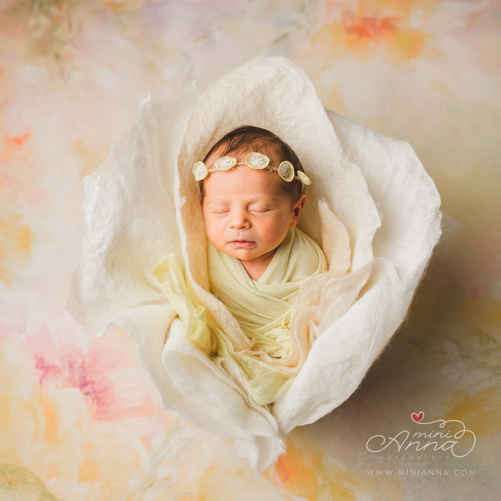 flower themed newborn portrait