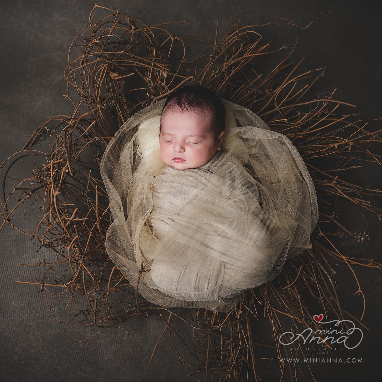 nature themed newborn portrait