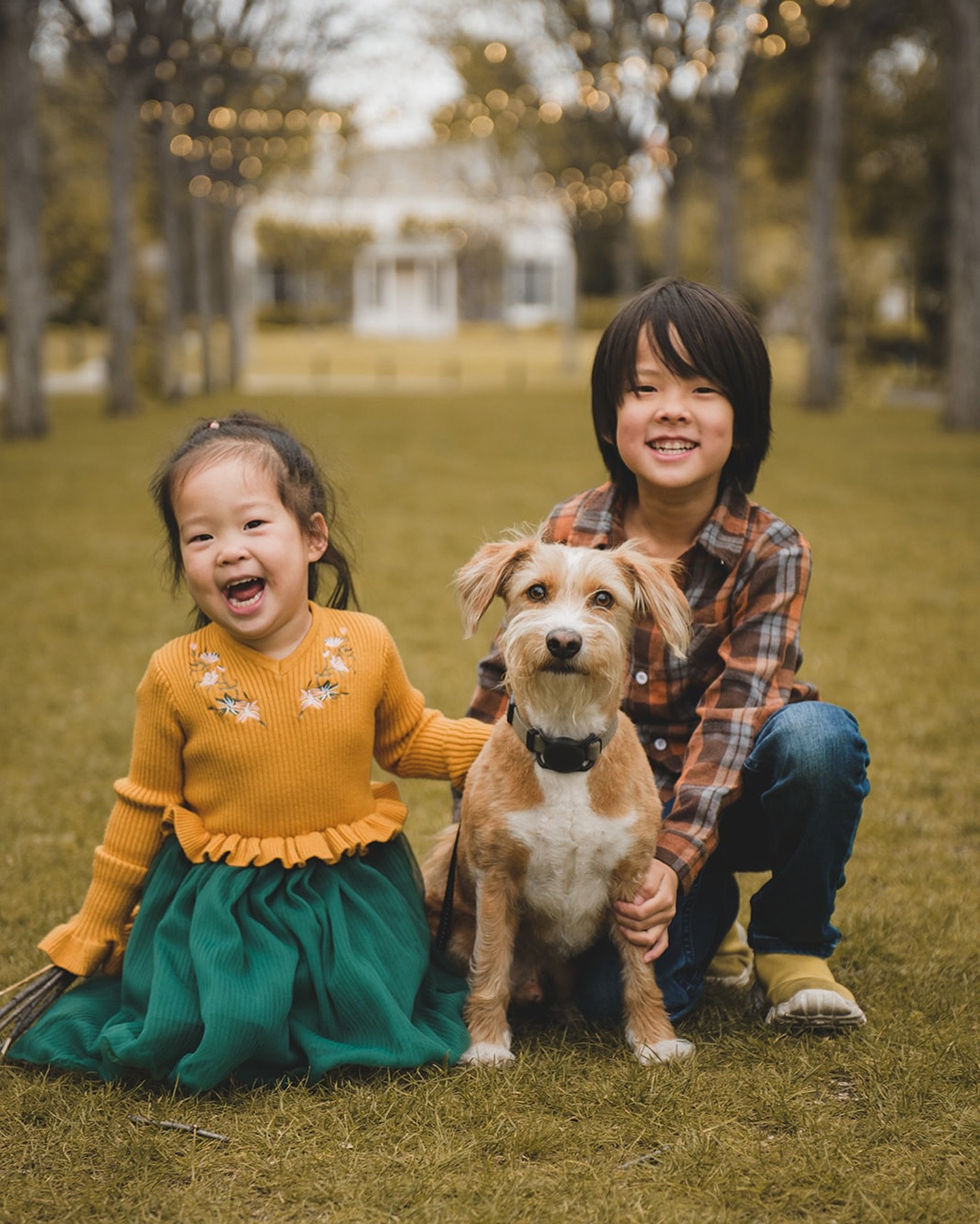 Swipe through to see the joy in everyone&rsquo;s faces&hellip; even the furriest family member! Cutest photo ever at the end 😍🐶 

#familyphotos #familyphotographer #familyphotoshoot #bayareafamilyphotographer #bayareaphotographer #marincountyphotog