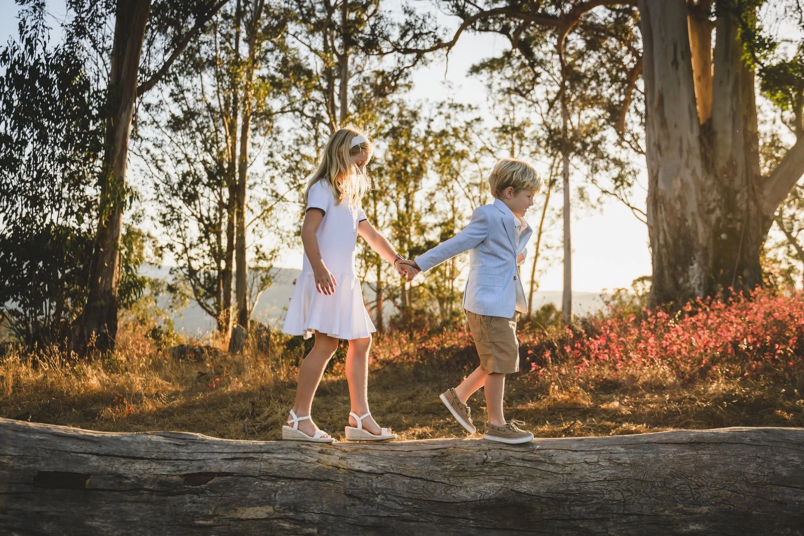 MiniAnnaPhotography2024-DiRussoFamily-2048srgb.jpg