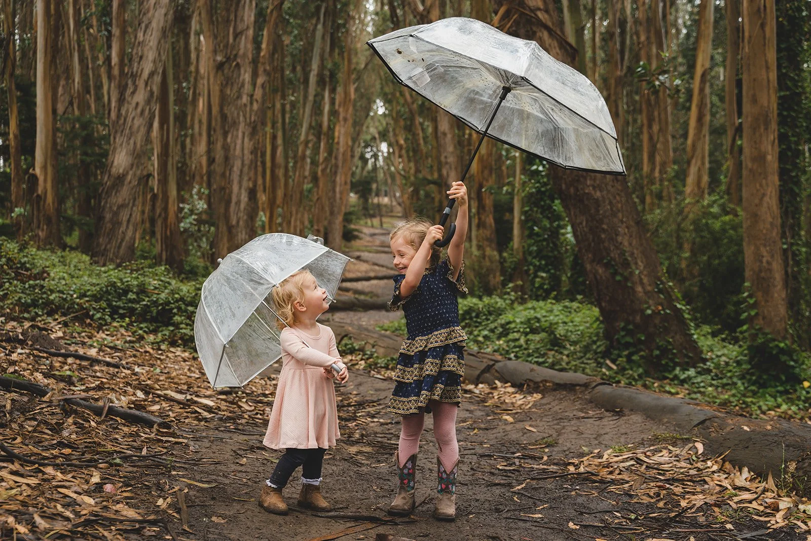 MIniAnna2023-LoversLane-FamilyMini-RainyDay-00496srgb.jpg
