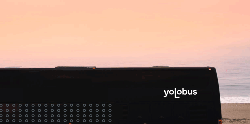 yolo_2.gif