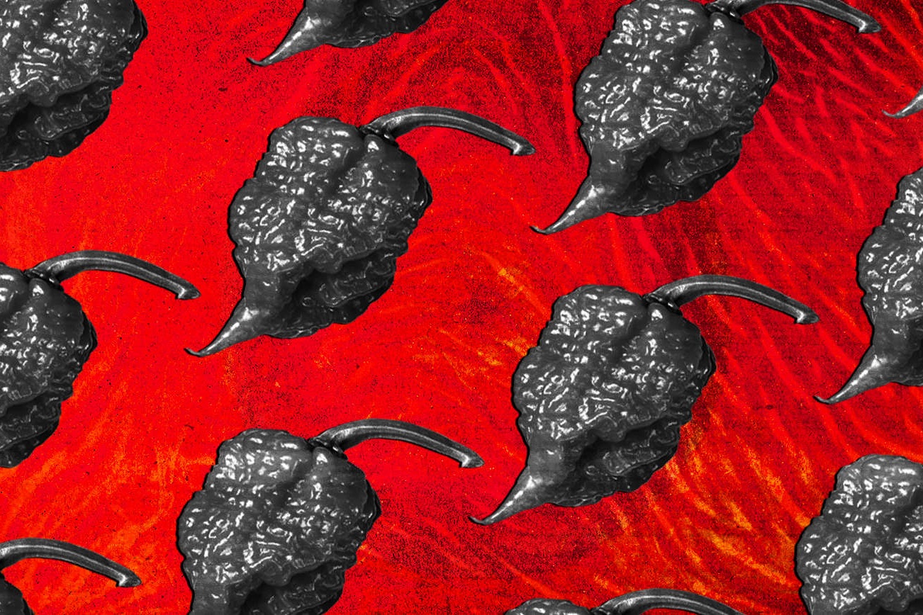 How+One+Man+Overcame+Addiction+by+Growing+the+Hottest+Peppers+in+the+World