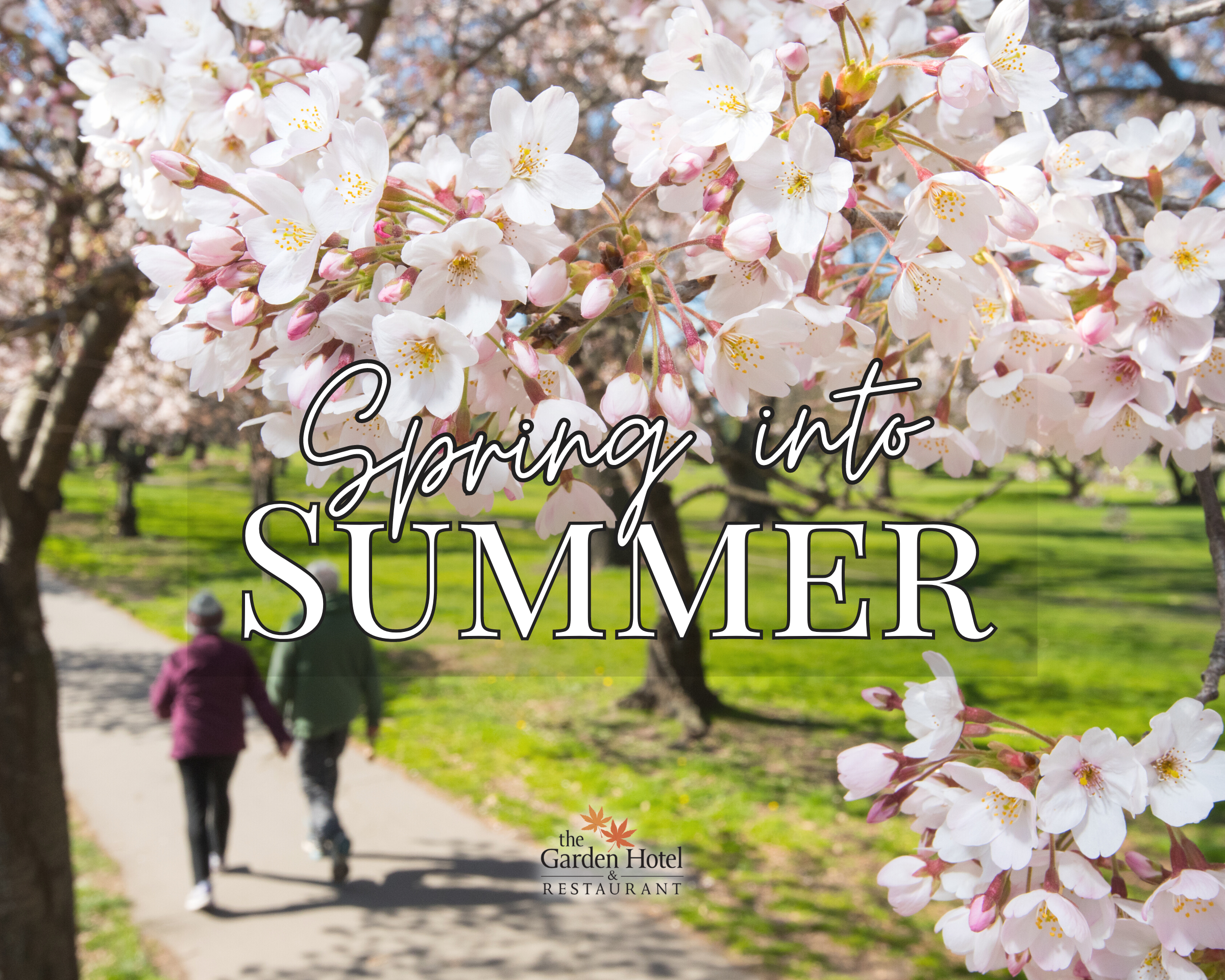 Spring into Summer Sale: Save 15% at Garden Hotel Christchurch - Garden ...
