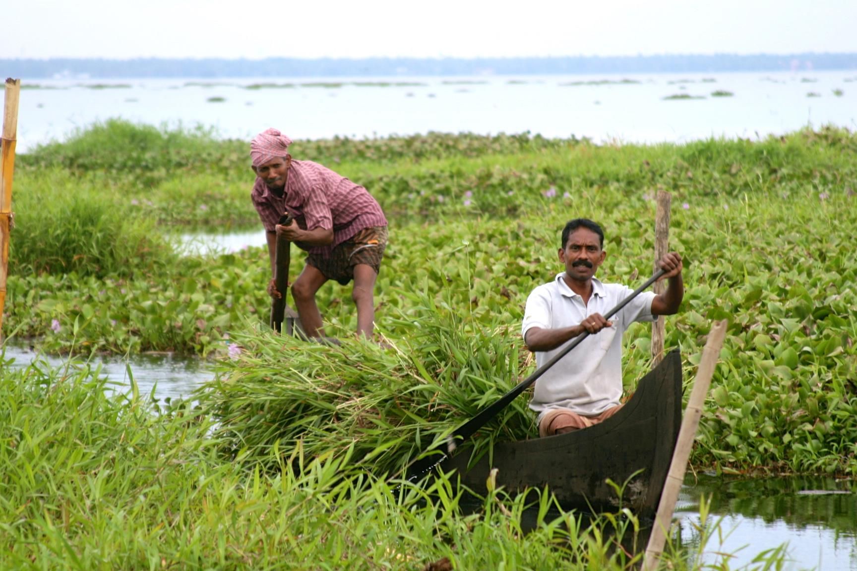 Boatmen in the backwaters of Kerala, India