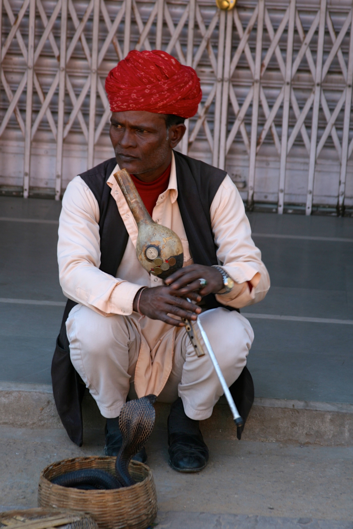 Snake Charmer, Jaipur, India