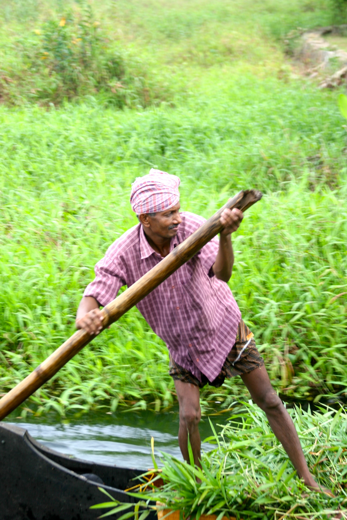 Boatman, Kumarakom, Kerala, India