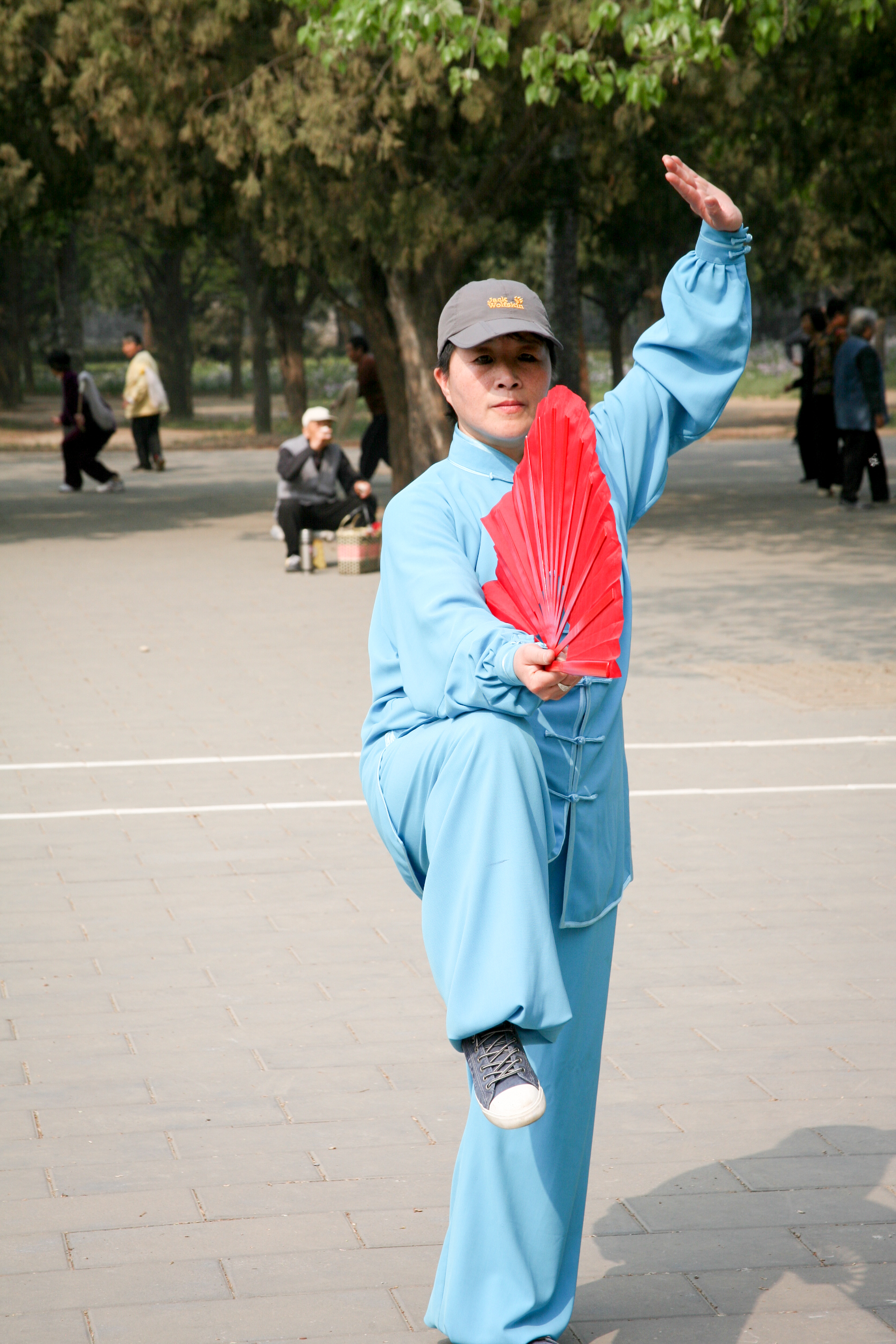 Tai Chi instructor, Beijing, China