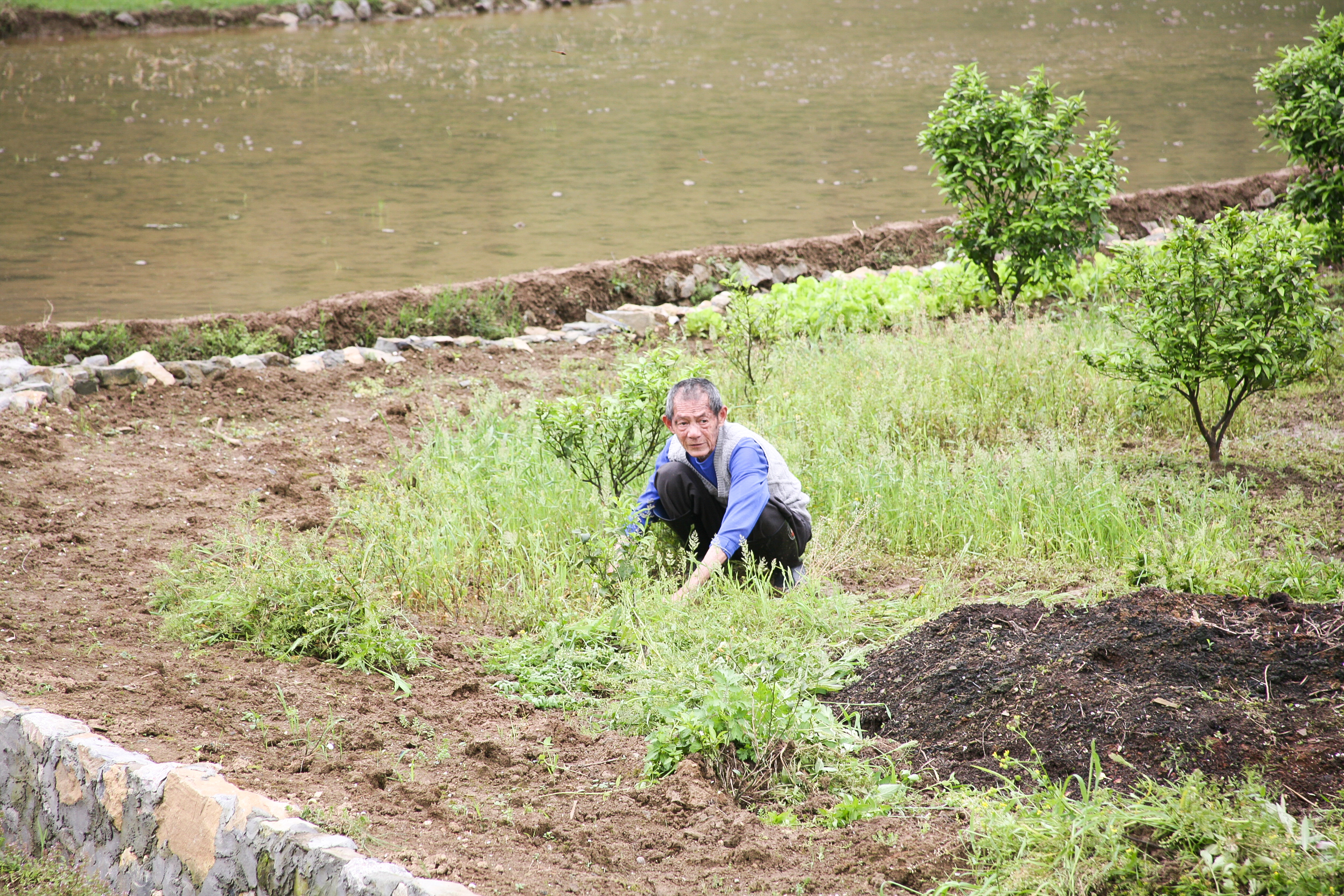 Man in field, Guilin, China
