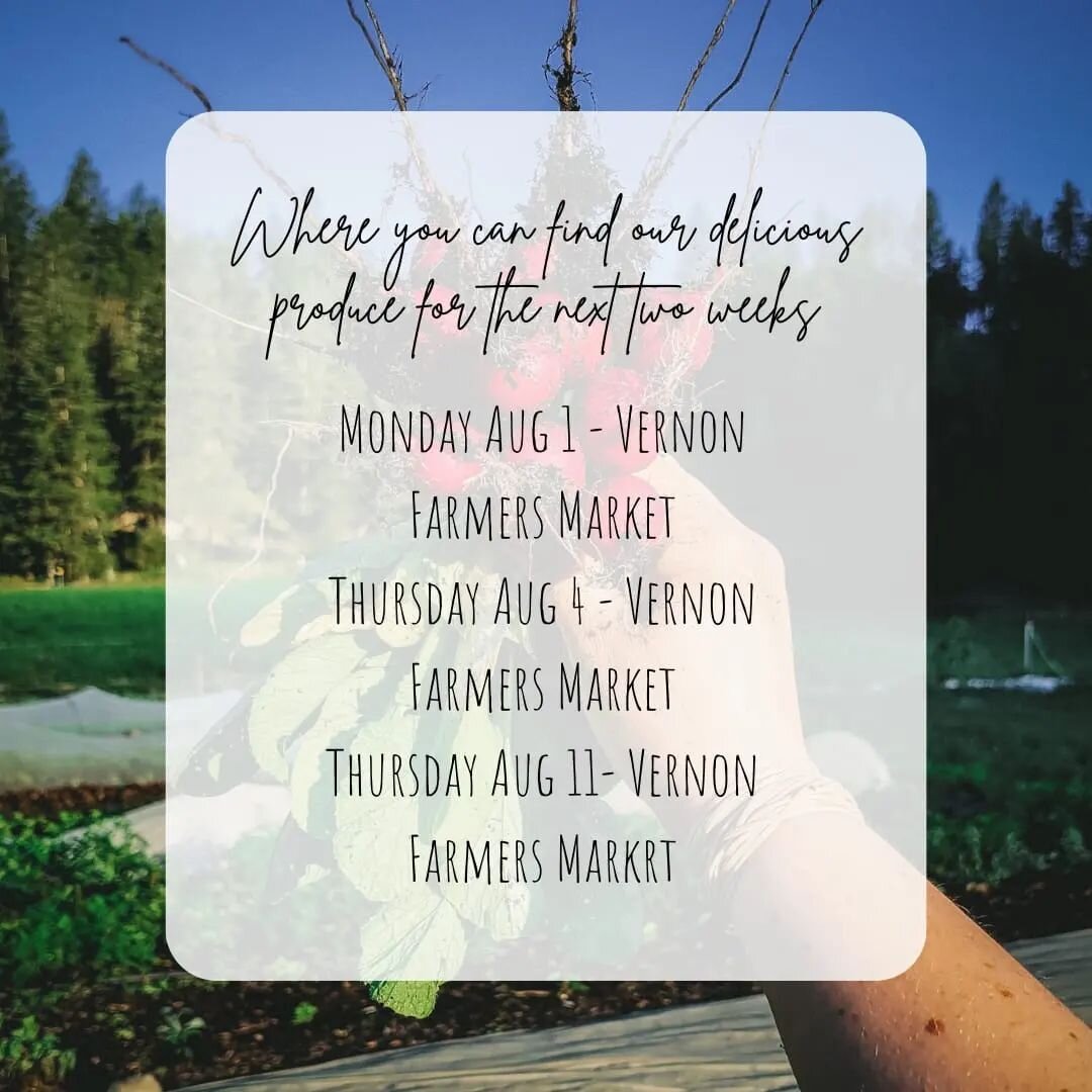 We will be back at the @armstrongfarmersmarket on August 13th! In the meantime, catch us on Mondays and Thursdays at the @vernon_farmers_market ! #schedulechange #notillmarketgarden