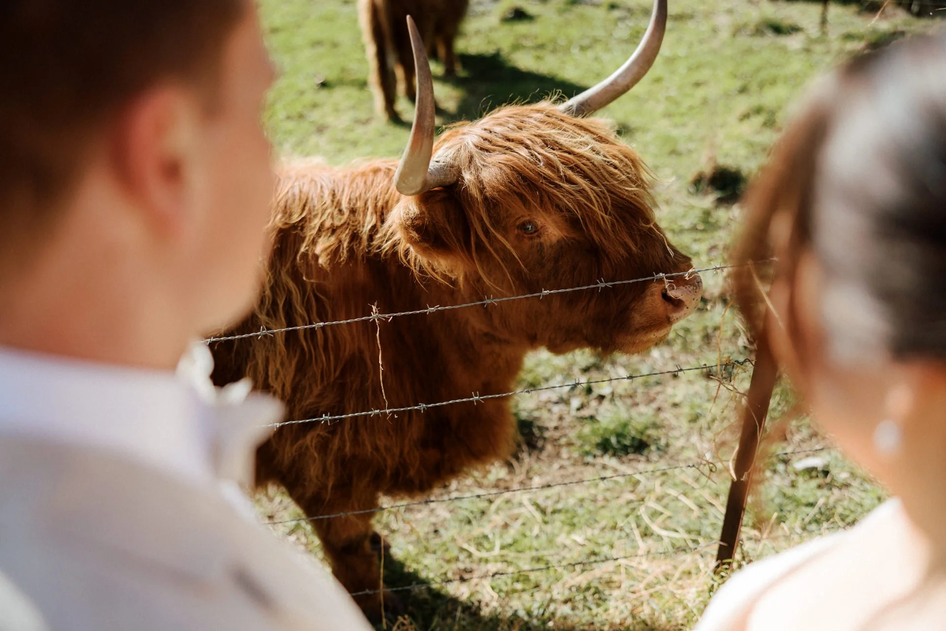 mali-brae-farm-bowral-wedding-photos-055.jpg