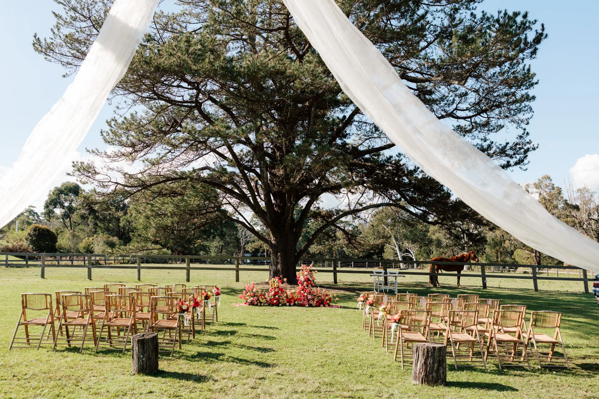 Stables-of-Somersby-wedding-photos-108.jpg